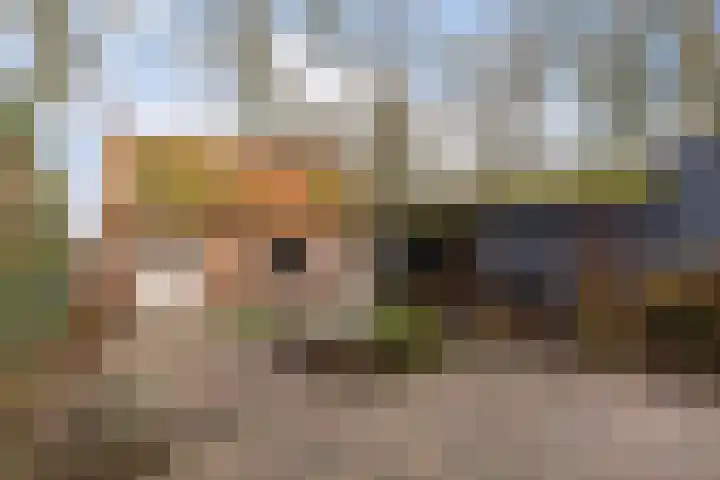 Johannes Postweg 11 B Nagele thumbnail 33