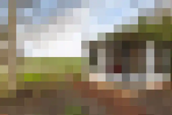 Johannes Postweg 11 B Nagele thumbnail 45