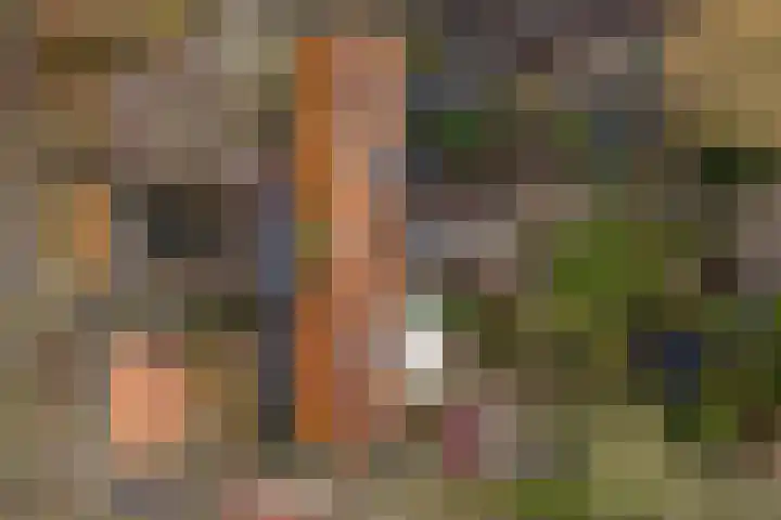 Johannes Postweg 11 B Nagele thumbnail 6