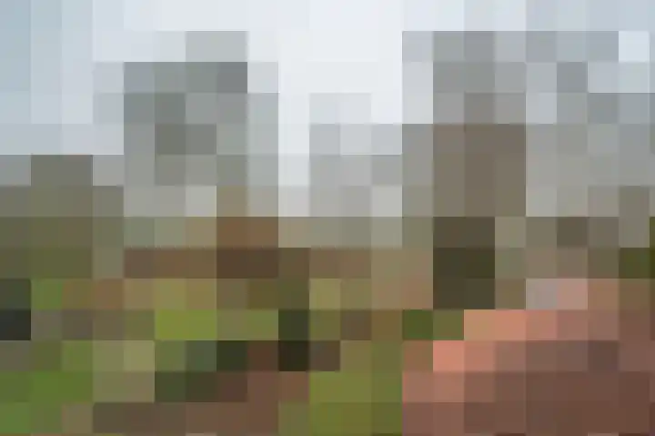 Johannes Postweg 12 Nagele thumbnail 29