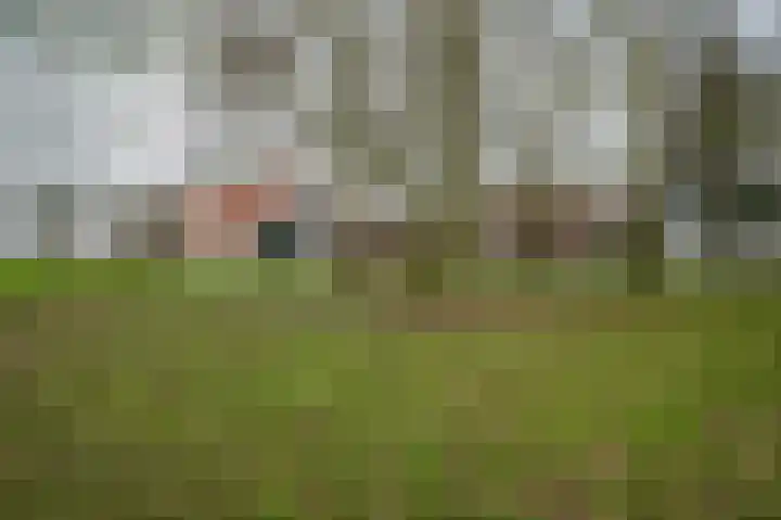 Johannes Postweg 12 Nagele thumbnail 37