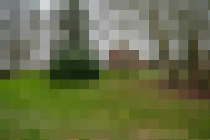 Johannes Postweg 12 Nagele thumbnail 38