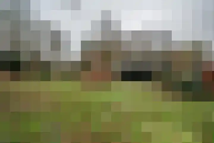 Johannes Postweg 12 Nagele thumbnail 39