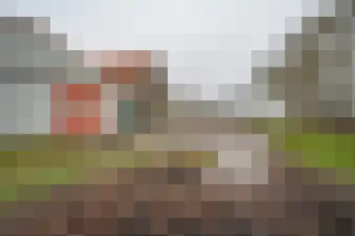 Johannes Postweg 12 Nagele thumbnail 42