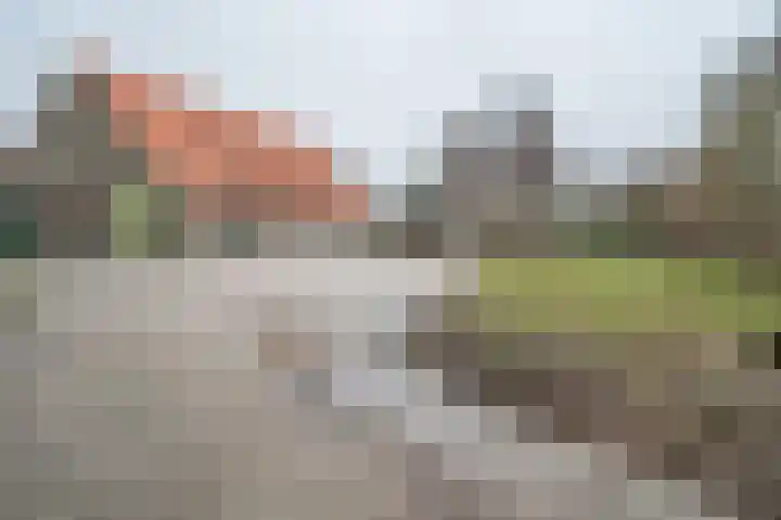 Johannes Postweg 12 Nagele thumbnail 43