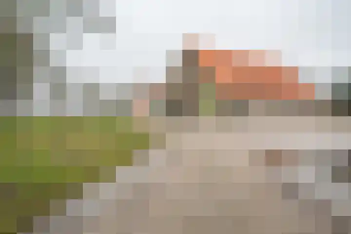 Johannes Postweg 12 Nagele thumbnail 44