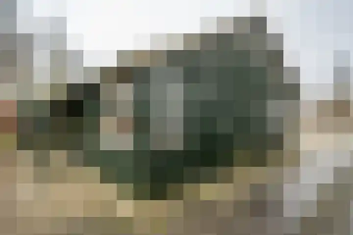 Johannes Postweg 12 Nagele thumbnail 47