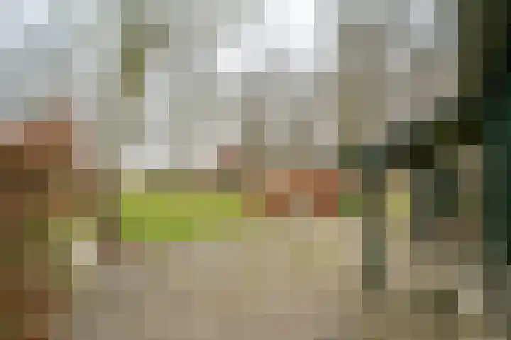 Johannes Postweg 12 Nagele thumbnail 50