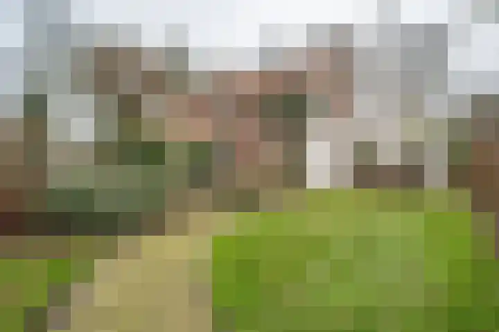 Johannes Postweg 12 Nagele thumbnail 51
