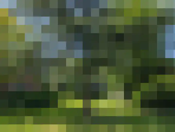 Johannes Postweg 12 Nagele thumbnail 71