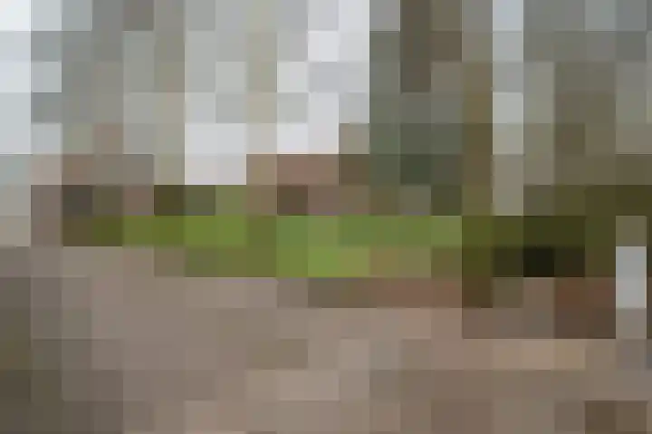 Johannes Postweg 12 Nagele thumbnail 73