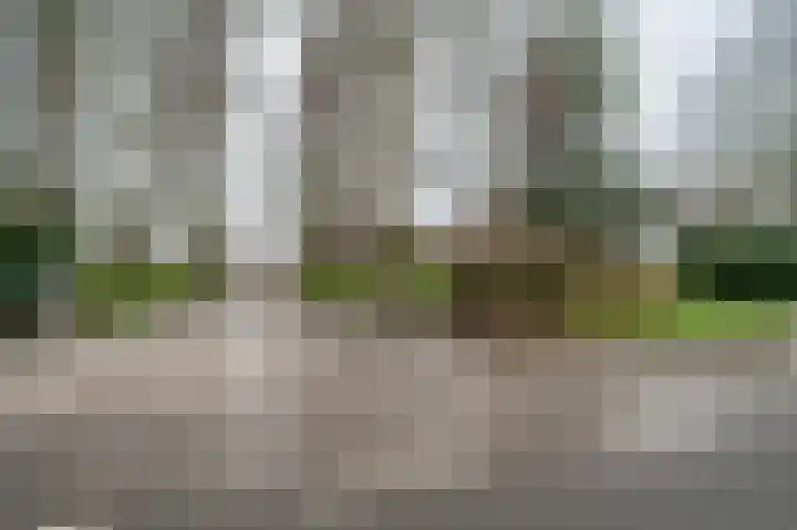 Johannes Postweg 12 Nagele thumbnail 76