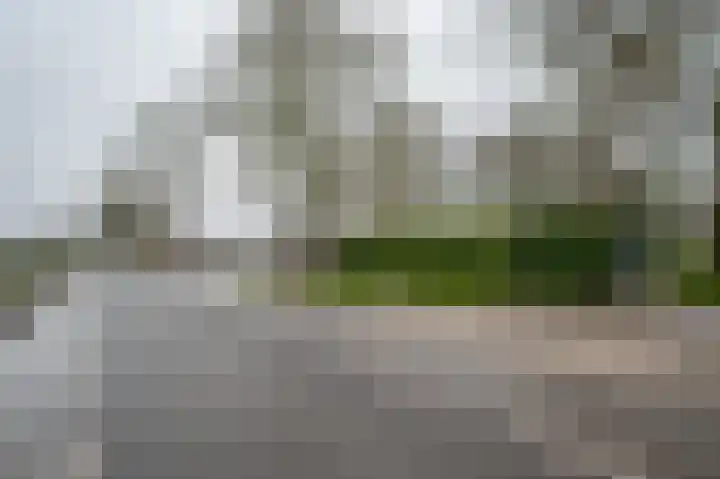 Johannes Postweg 12 Nagele thumbnail 77