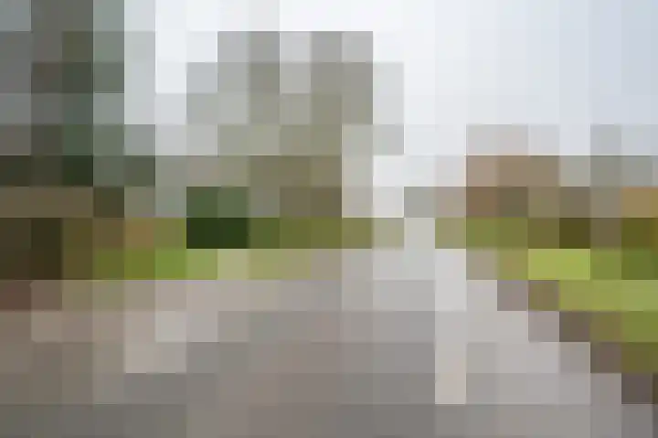 Johannes Postweg 12 Nagele thumbnail 78