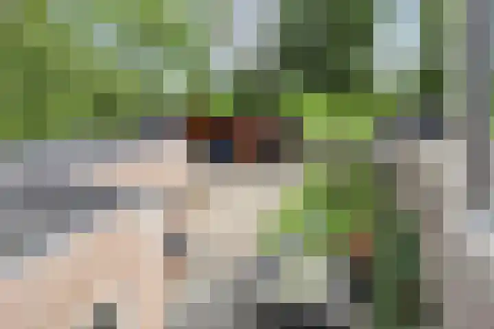 Johannes Postweg 15 B Nagele thumbnail 30
