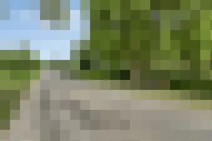 Johannes Postweg 15 B Nagele thumbnail 44