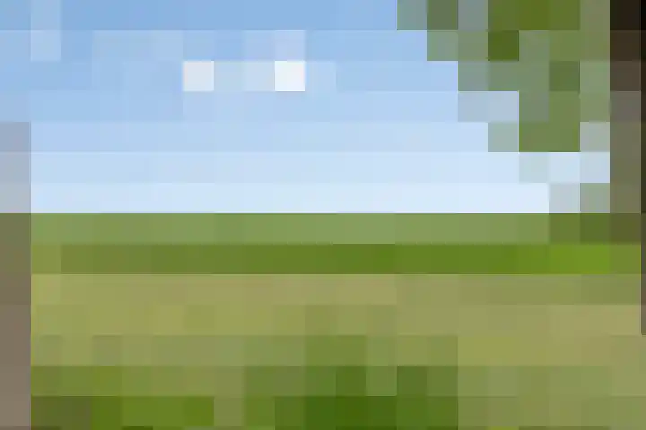 Johannes Postweg 15 B Nagele thumbnail 46