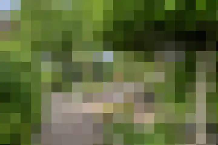 Johannes Postweg 15 B Nagele thumbnail 49