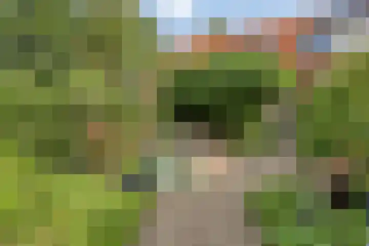 Johannes Postweg 15 B Nagele thumbnail 50