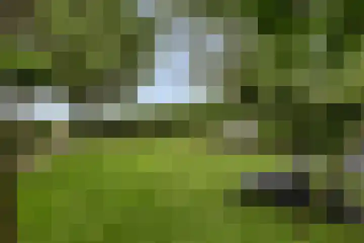 Johannes Postweg 15 B Nagele thumbnail 51