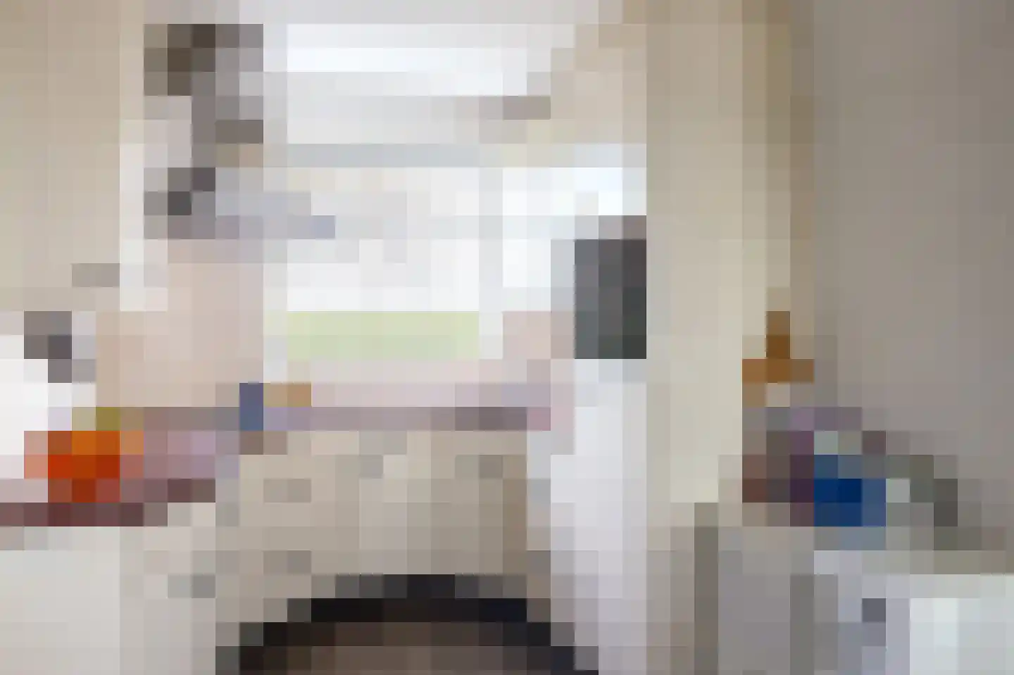 Johannes Postweg 4 Tollebeek thumbnail 10
