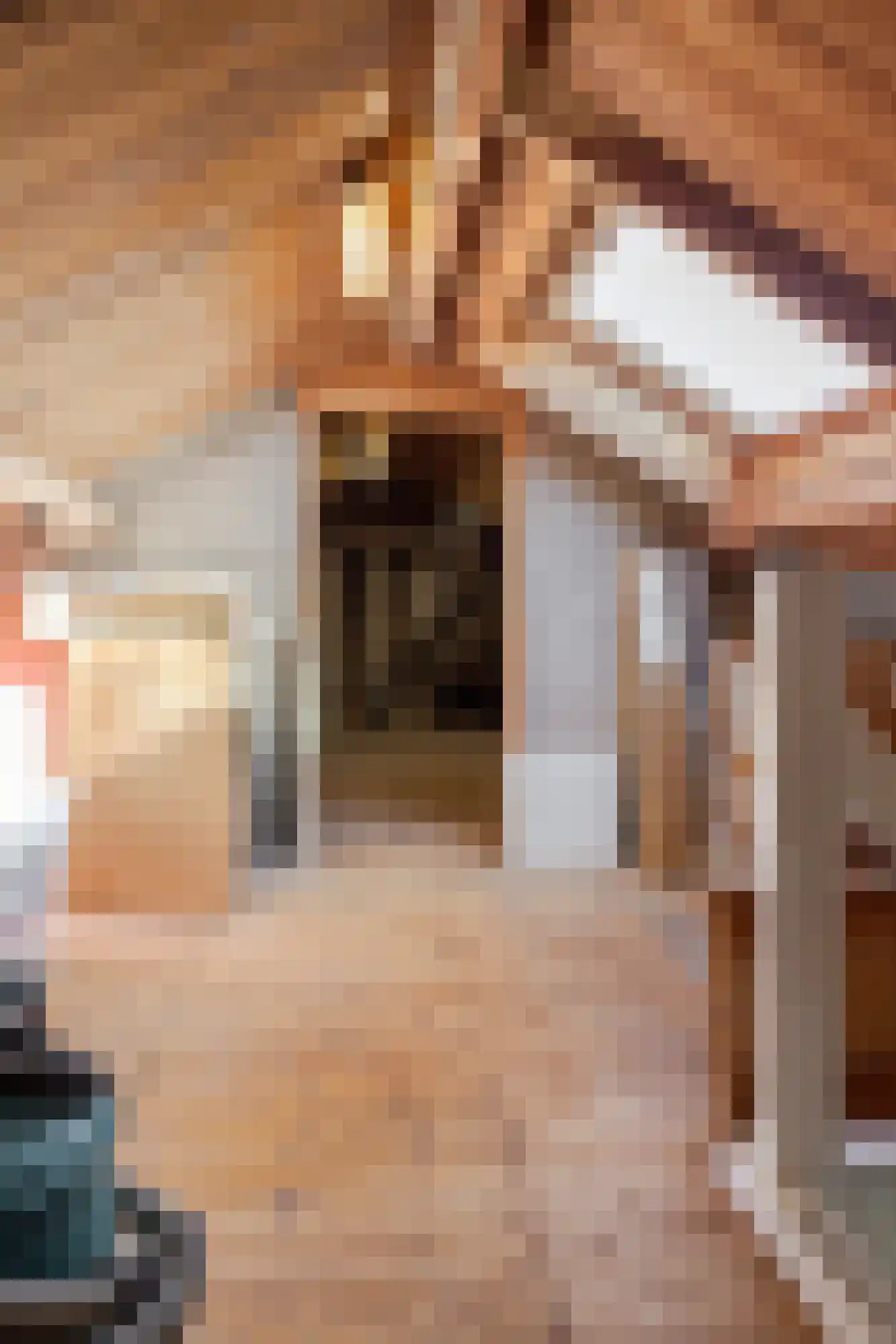 Johannes Postweg 4 Tollebeek thumbnail 31