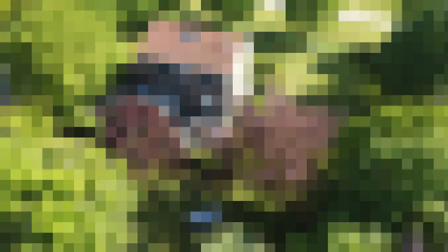 Johannes Postweg 4 Tollebeek thumbnail 33