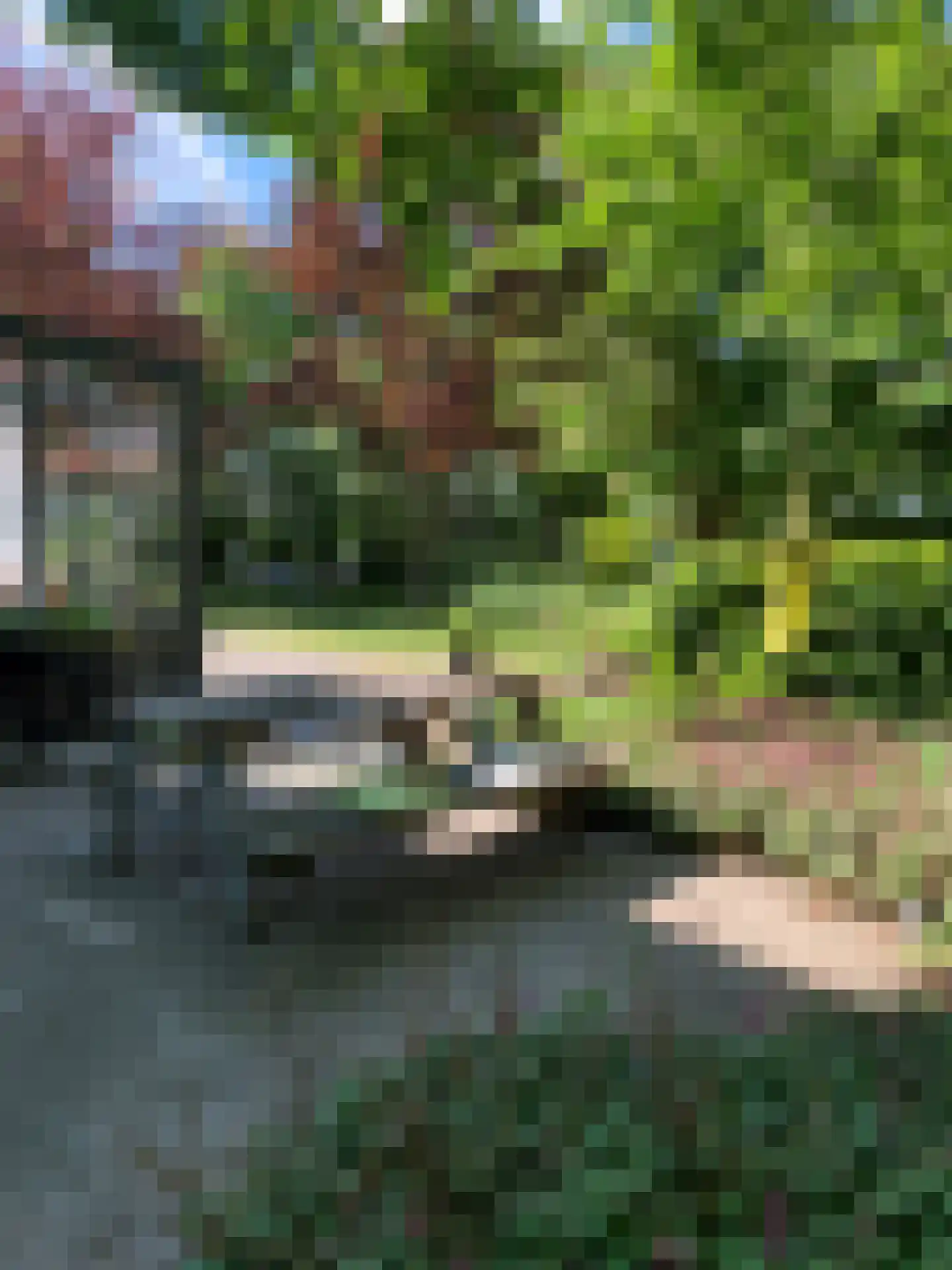 Johannes Postweg 4 Tollebeek thumbnail 35