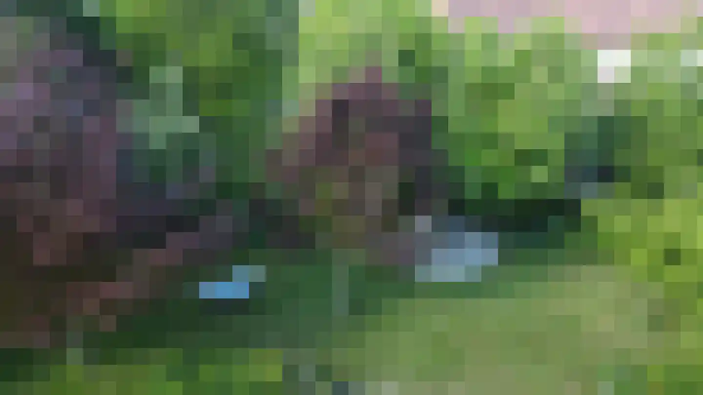 Johannes Postweg 4 Tollebeek thumbnail 36