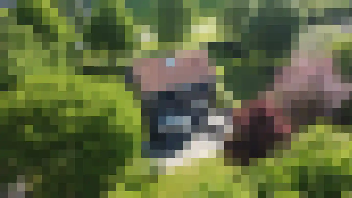 Johannes Postweg 4 Tollebeek thumbnail 4