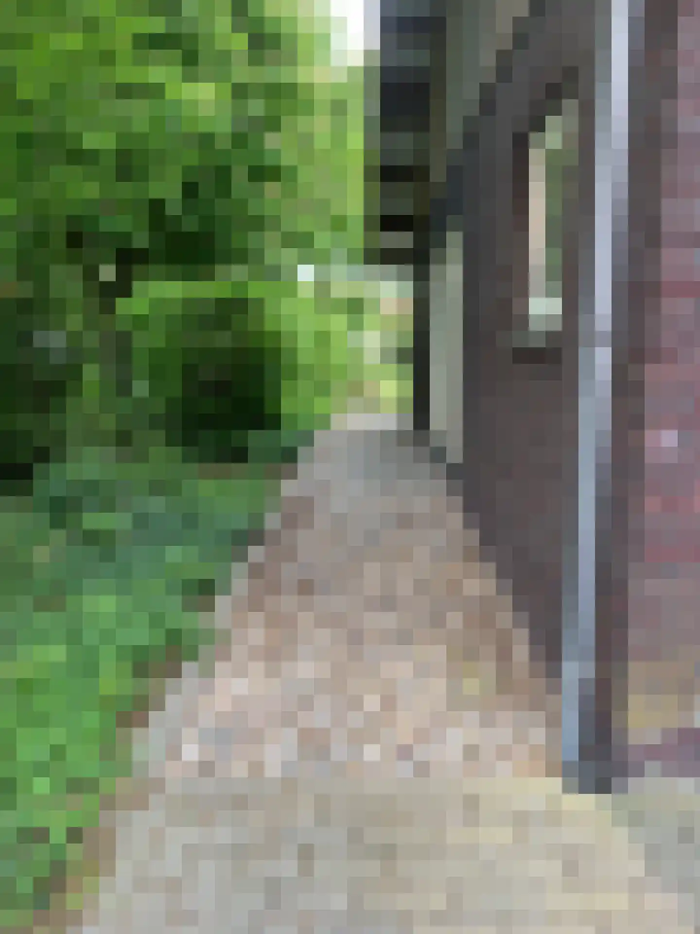 Johannes Postweg 4 Tollebeek thumbnail 50