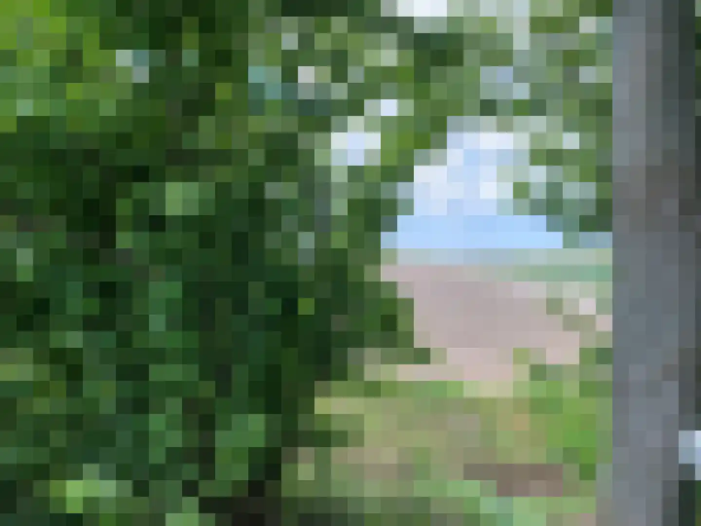 Johannes Postweg 4 Tollebeek thumbnail 63