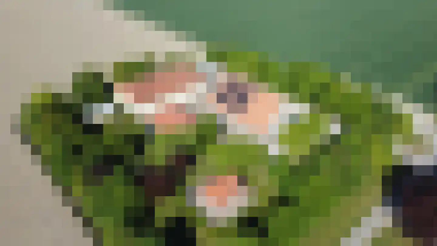 Johannes Postweg 4 Tollebeek thumbnail 66