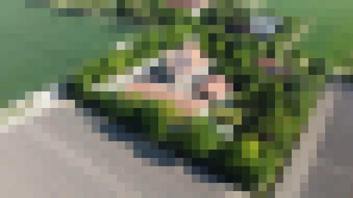 Johannes Postweg 4 Tollebeek thumbnail 67