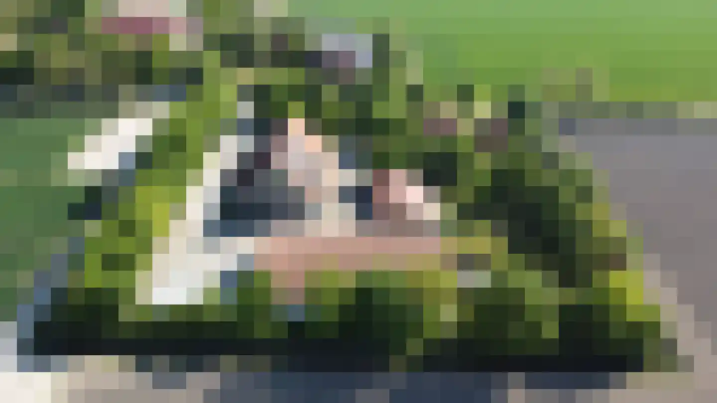 Johannes Postweg 4 Tollebeek thumbnail 68