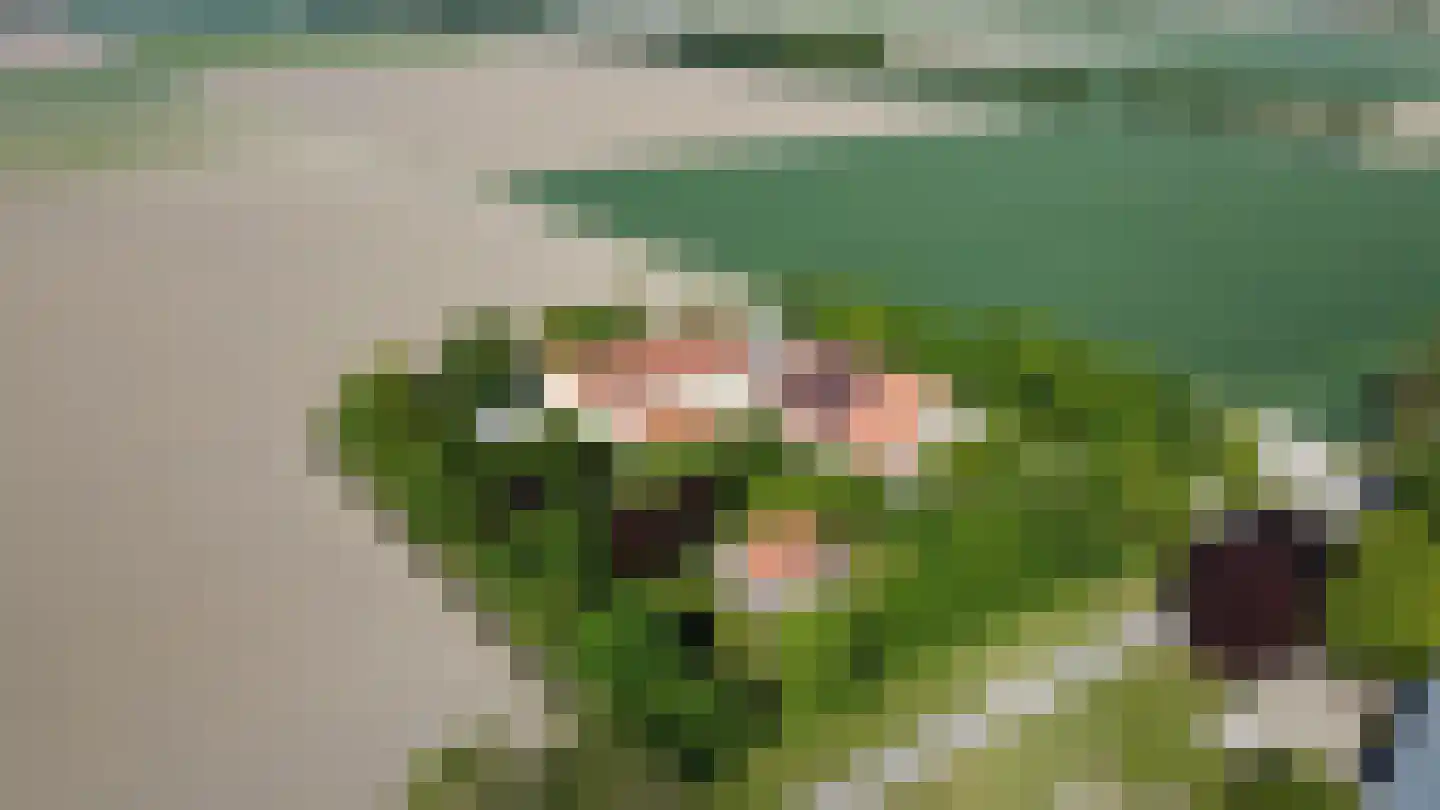 Johannes Postweg 4 Tollebeek thumbnail 69