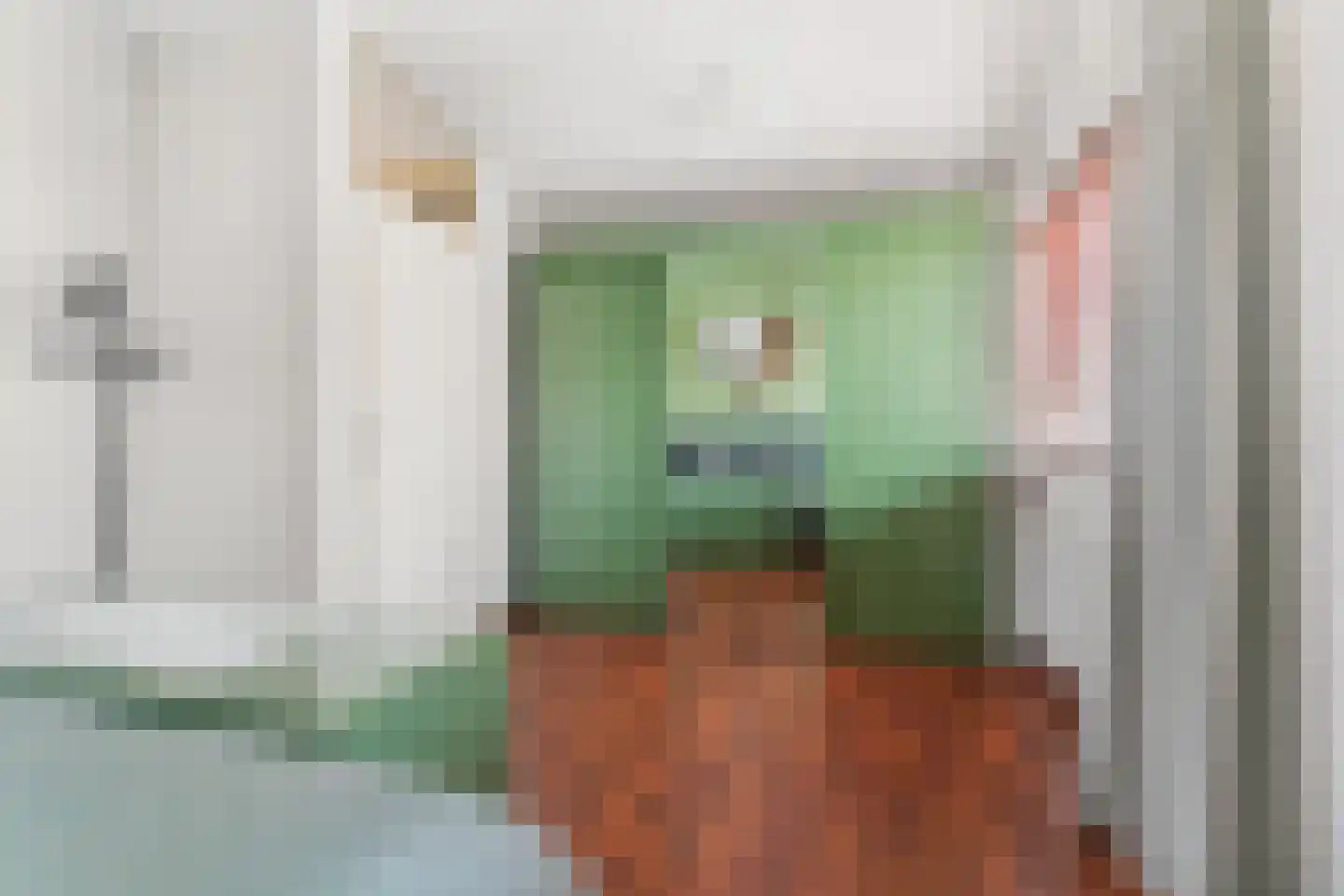 Johannes Rutgersstraat 6 Arnhem thumbnail 26
