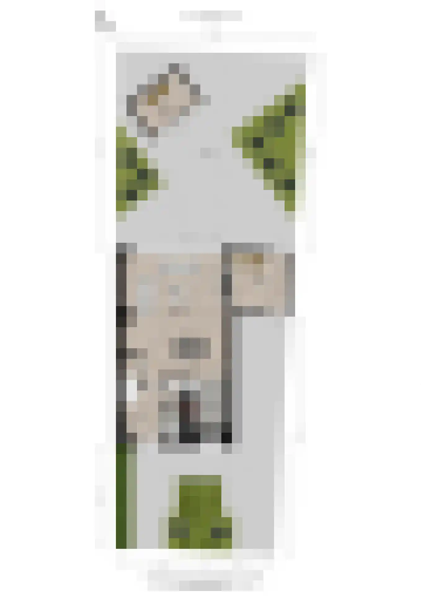 Johannes Rutgersstraat 6 Arnhem thumbnail 65