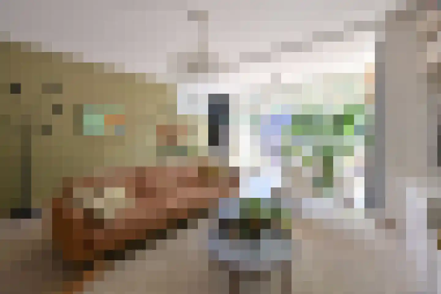 Johannes Sandersonhof 1 Loenen aan de Vecht thumbnail 11