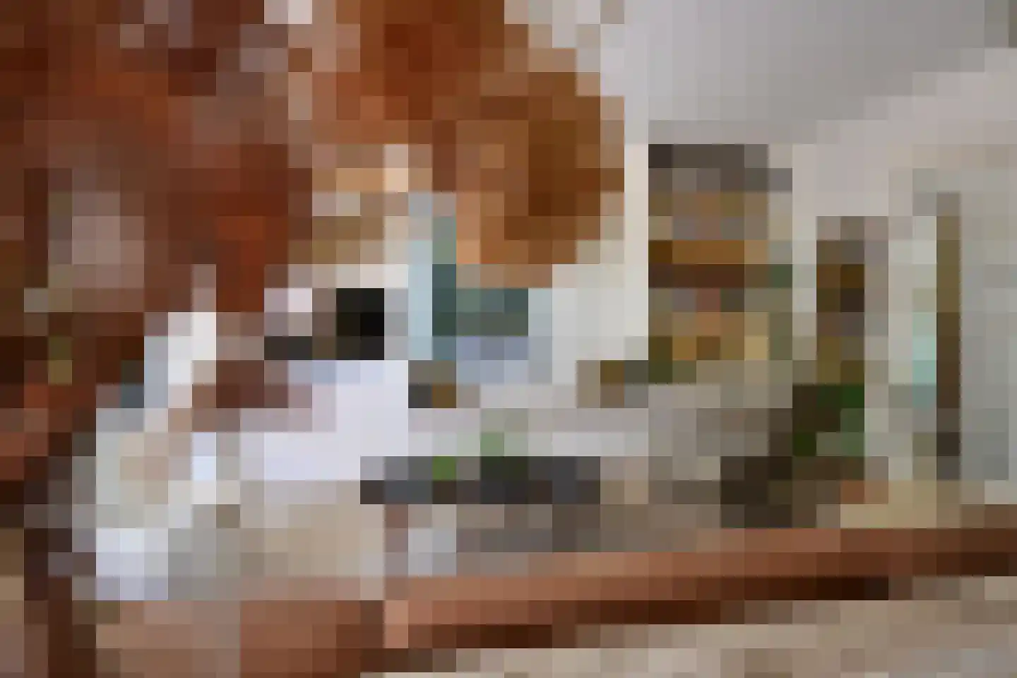Johannes Sandersonhof 1 Loenen aan de Vecht thumbnail 13