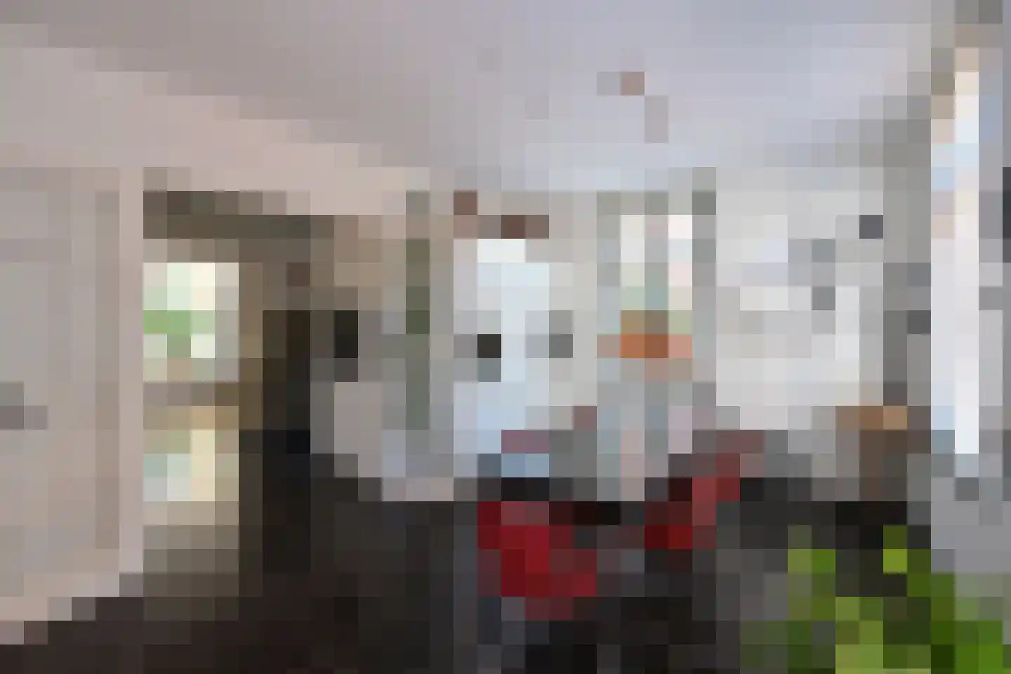 Johannes Sandersonhof 1 Loenen aan de Vecht thumbnail 5