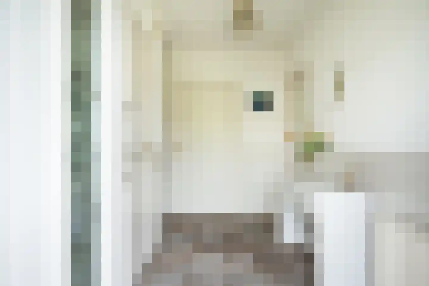Johannes Schoenmakerlaan 17 Exloo thumbnail 12
