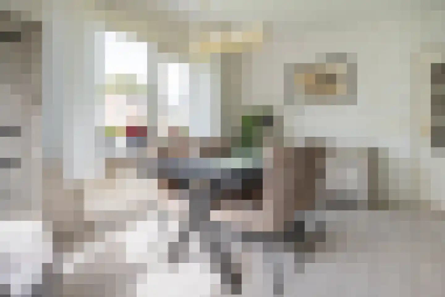 Johannes Schoenmakerlaan 17 Exloo thumbnail 17