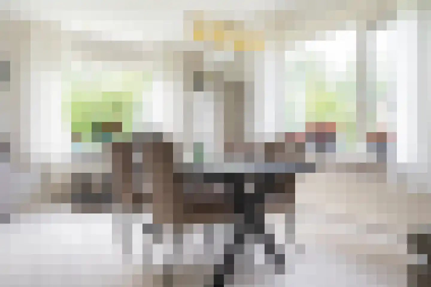 Johannes Schoenmakerlaan 17 Exloo thumbnail 18