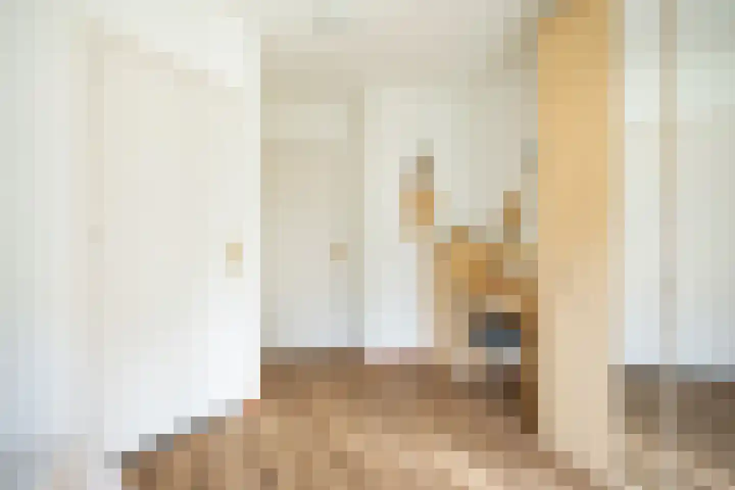 Johannes Schoenmakerlaan 17 Exloo thumbnail 26