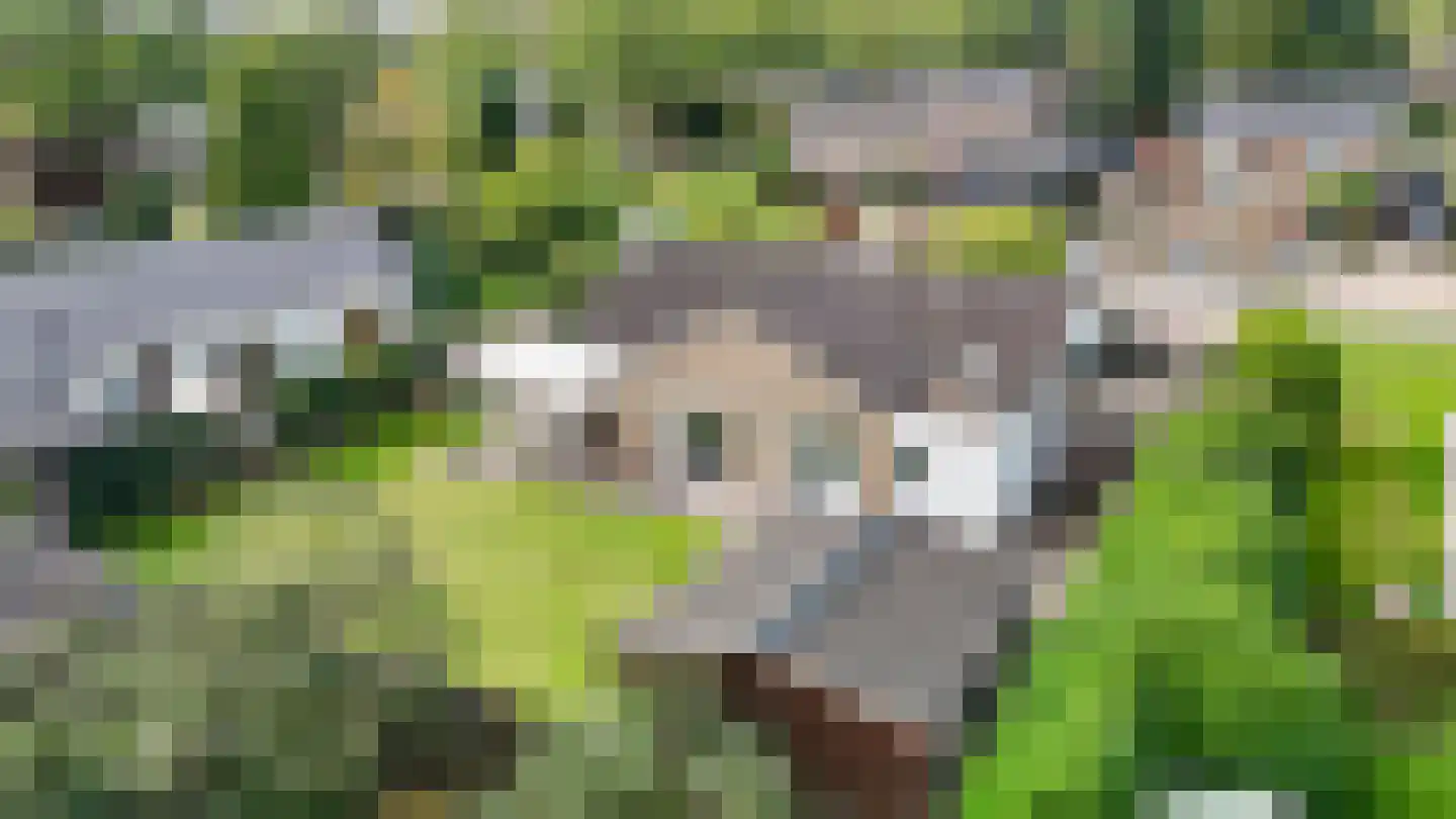 Johannes Schoenmakerlaan 17 Exloo thumbnail 48