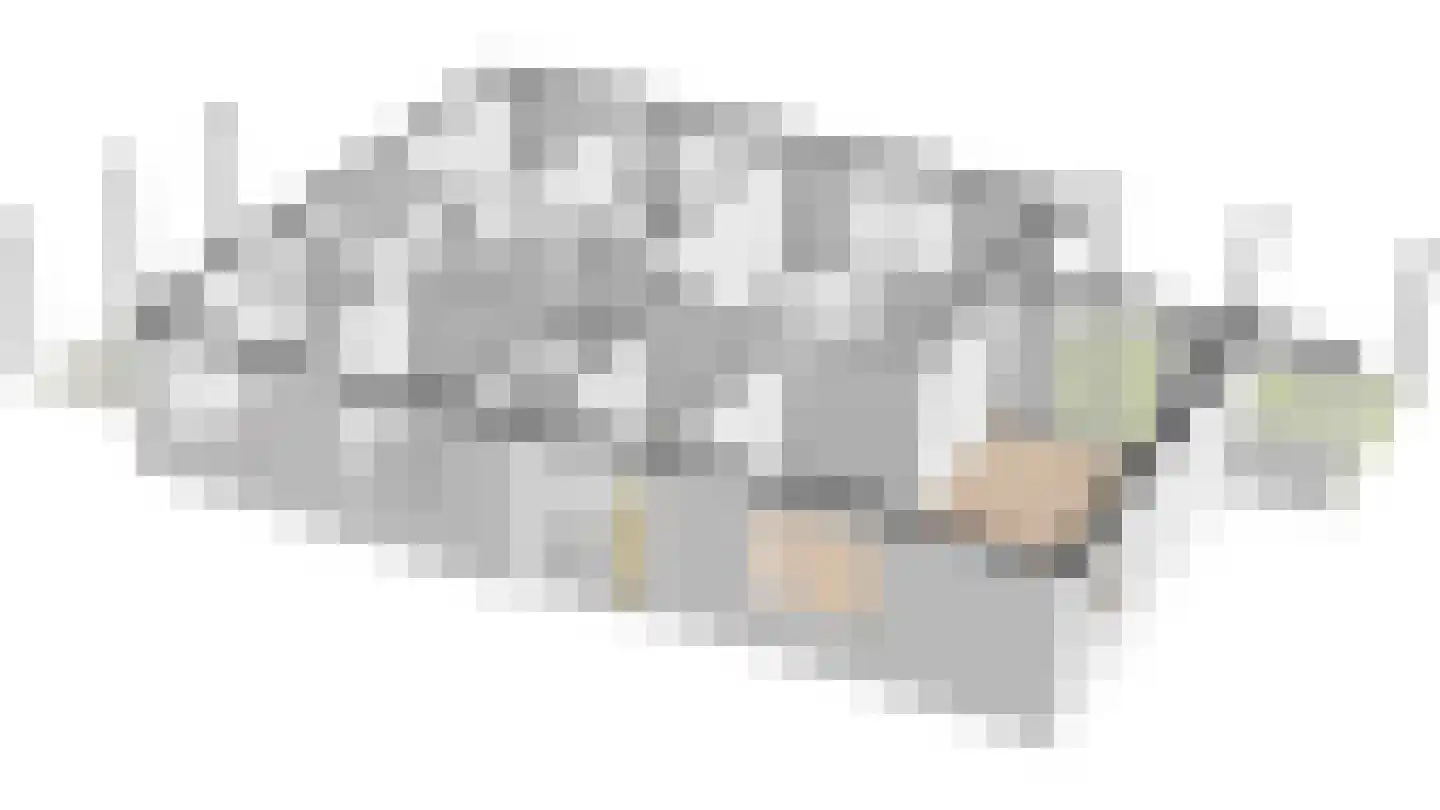 Johannes Schoenmakerlaan 17 Exloo thumbnail 50