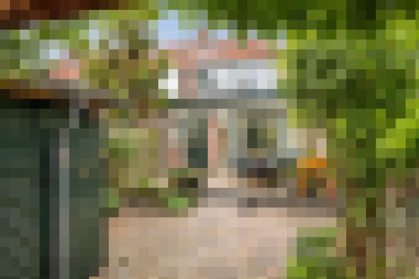 Johannes Sinthenstraat 44 Deventer thumbnail 32