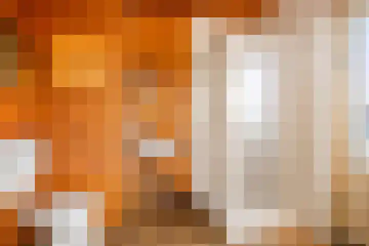 Johannes Sinthenstraat 7 Deventer thumbnail 26