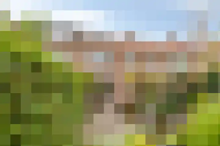 Johannes Sinthenstraat 76 Deventer thumbnail 24